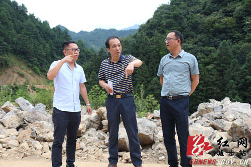 杨博理带队巡河并调研兰芭公路建设(图2)