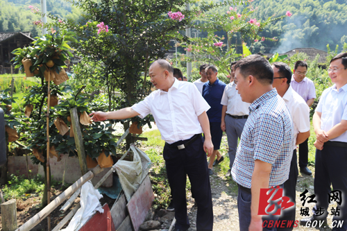 罗建南深入乡镇调研督战脱贫攻坚等工作(图2)