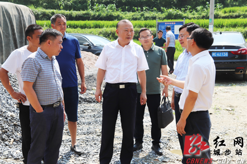 罗建南深入乡镇调研督战脱贫攻坚等工作(图1)