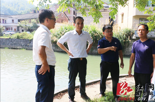 杨博理调研蒋坊乡脱贫攻坚和河长制工作(图2)