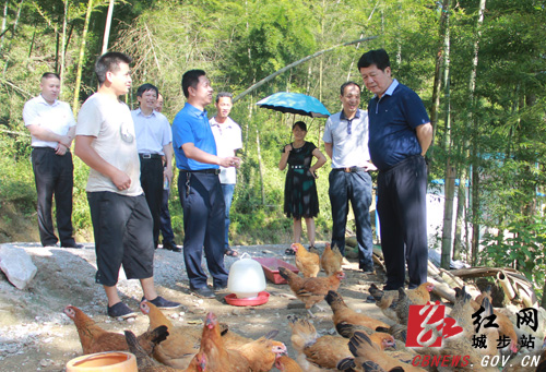 省商务厅长徐湘平指导新枧水村驻村帮扶工作(图1)