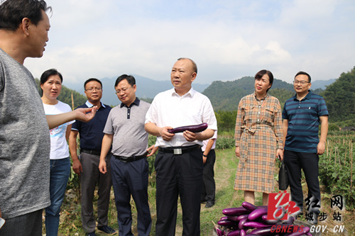 罗建南深入丹口镇督战脱贫攻坚工作(图1)