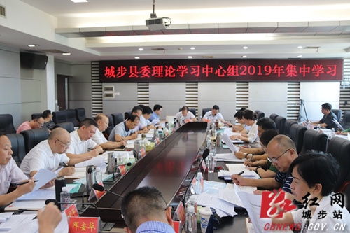 城步委理论中心组组织集中学习(图1)