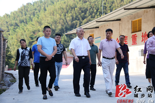罗建南深入蒋坊乡督导安全生产和脱贫攻坚等工作(图1)