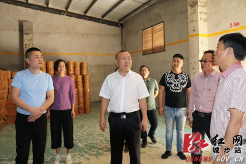 罗建南深入蒋坊乡督导安全生产和脱贫攻坚等工作(图2)