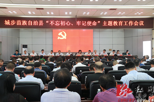 城步召开“不忘初心、牢记使命”主题教育工作会议(图4)