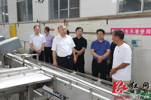 罗建南调研工业集中区企业发展情况(图3)