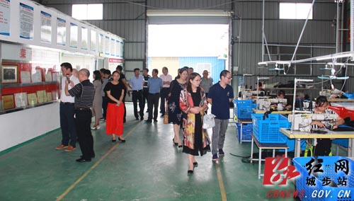 邵阳市政协委员视察城步实体经济发展(图3)