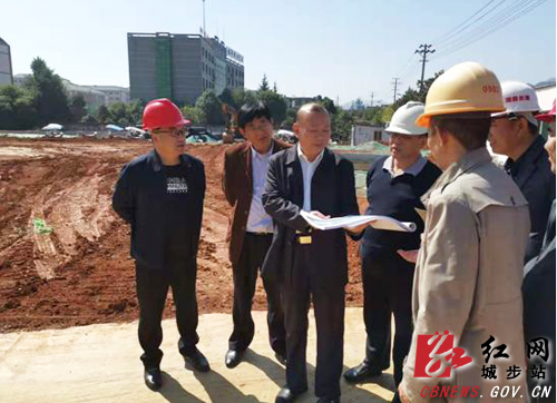 罗建南调研督查城步中医医院整体搬迁项目(图1)