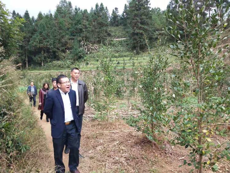 市移民中心考评验收城步重点移民村整村推进项目(图2)