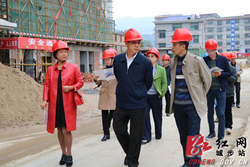 市人大常委会检查组深入城步开展“一法两规定”执法检查(图2)