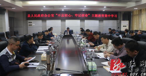 城步政府办扎实开展主题教育活动(图2)