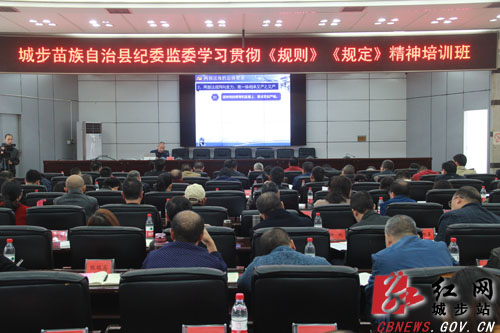 城步纪委监委集中学习贯彻《规则》《规定》精神(图1)
