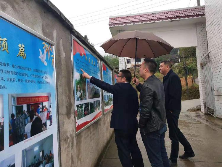 市移民中心考评验收城步重点移民村整村推进项目(图4)