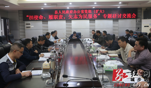 城步政府办扎实开展主题教育活动(图1)