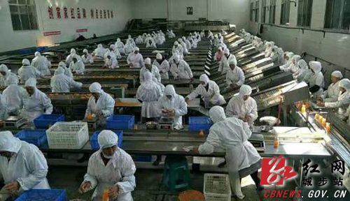 城步500名群众在家门口实现就业(图1)