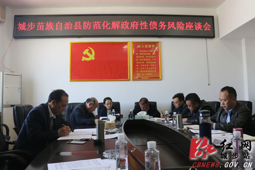 城步召开防范化解政府性债务风险座谈会(图1)