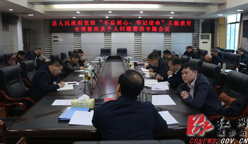城步政府党组深入推进主题教育专项整治(图1)
