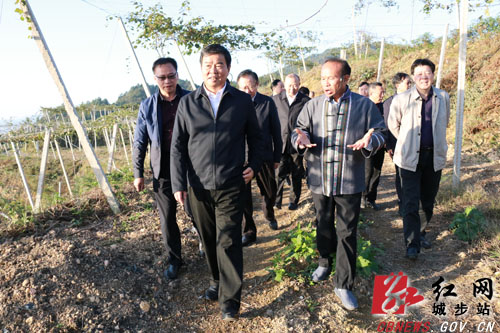 何报翔赴城步调研脱贫攻坚工作(图3)