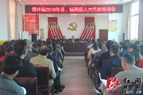 城步人大对儒林镇县镇两级人大代表进行培训(图1)