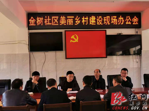 谢卫东指导金树社区美丽乡村建设工作(图1)