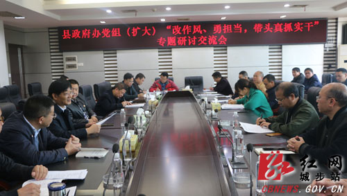 城步政府办扎实推进主题教育(图1)
