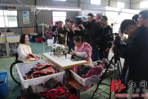 省市媒体采访团走进城步采访杨淑亭(图1)