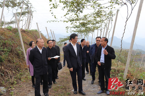 刘事青深入城步调研脱贫攻坚工作(图1)