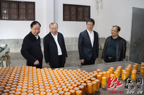 刘事青深入城步调研脱贫攻坚工作(图2)