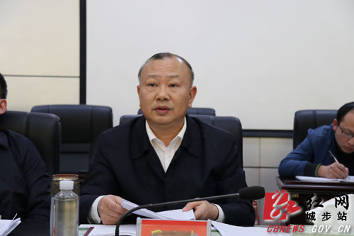 城步召开2019年第26次县委常委（扩大）会议(图2)