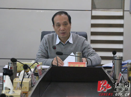 城步政府党组深入推进主题教育专项整治(图2)