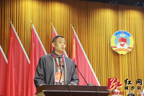 政协城步苗族自治县第十届委员会第五次会议开幕(图5)
