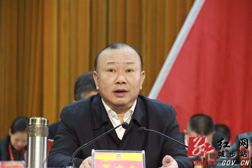 政协城步苗族自治县第十届委员会第五次会议开幕(图2)
