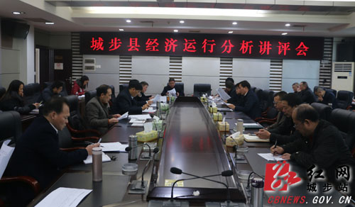 城步召开经济运行分析讲评会(图1)