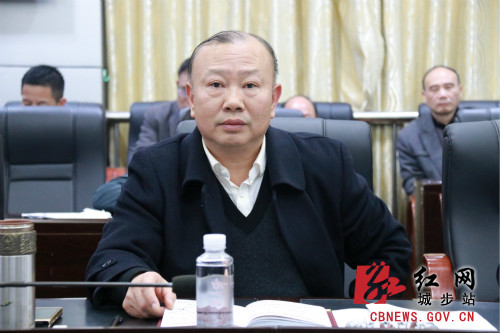 城步召开2019年第29次县委常委（扩大）会议(图2)