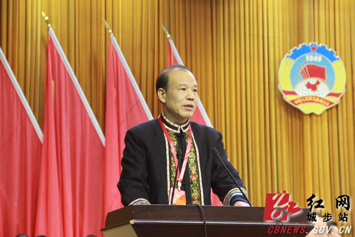 政协城步苗族自治县第十届委员会第五次会议开幕(图3)