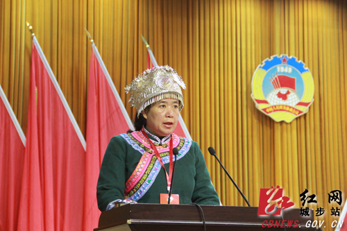 政协城步苗族自治县第十届委员会第五次会议开幕(图4)