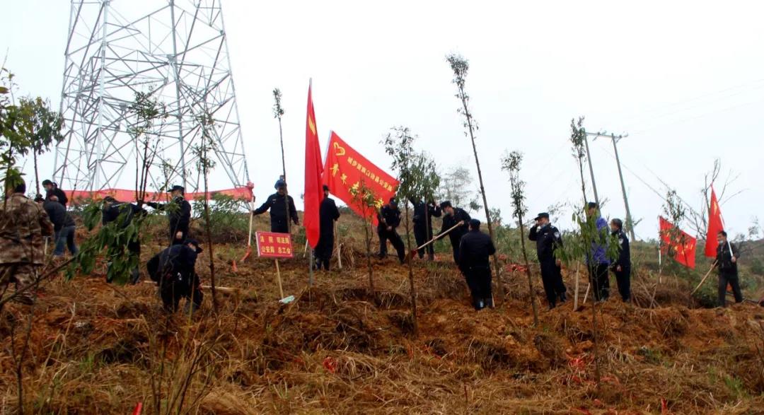 城步公安：民警添绿，春意更浓(图2)