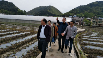 省移民经济服务中心对城步移民后扶政策实施情况进行监测评估(图3)