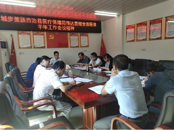 城步：传达贯彻2020年全市医疗保障工作半年工作会议精神(图1)