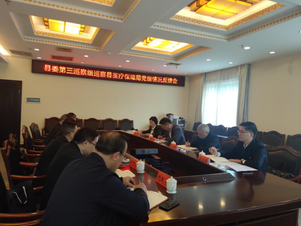 城步苗族自治县委第三巡察组召开巡察县医疗保障局党组情况反馈会(图2)
