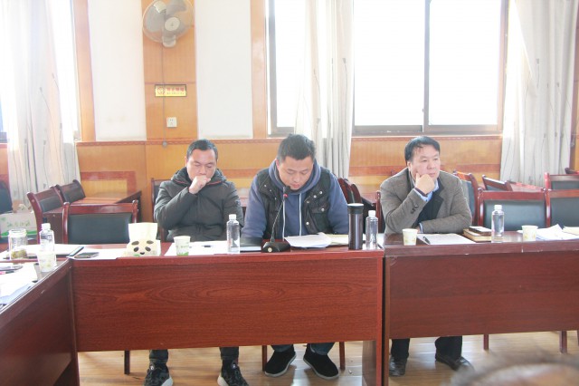 城步苗族自治县自然资源局召开2020年工作务虚会(图2)