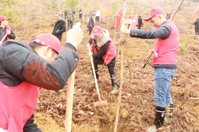 　　城步苗族自治县自然资源局积极参加义务植树活动(图1)