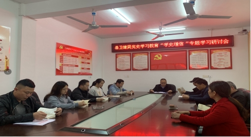 城步卫健局：开展党史学习教育“学史增信”专题学习活动(图1)