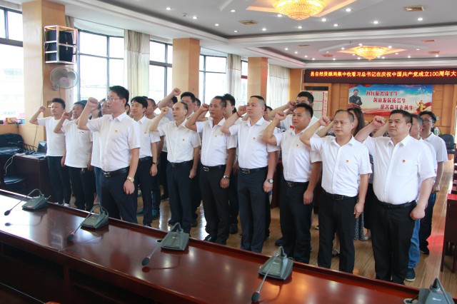 城步自然资源局组织干部职工集中收看庆祝中国共产党成立100周年大会盛典(图2)