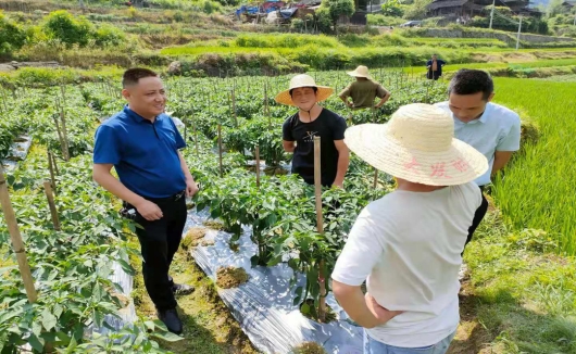 城步：采取“十查”“六问”工作模式坚决守住防止规模性返贫底线(图1)