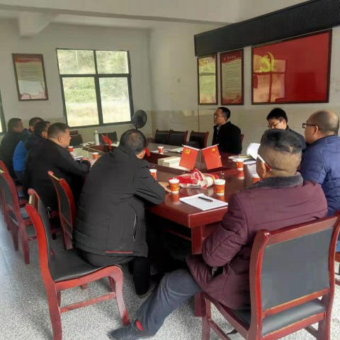 县委常委、县纪委书记、县监委主任肖永丰丹口镇群旺村乡村振兴工作实地调研检查(图1)