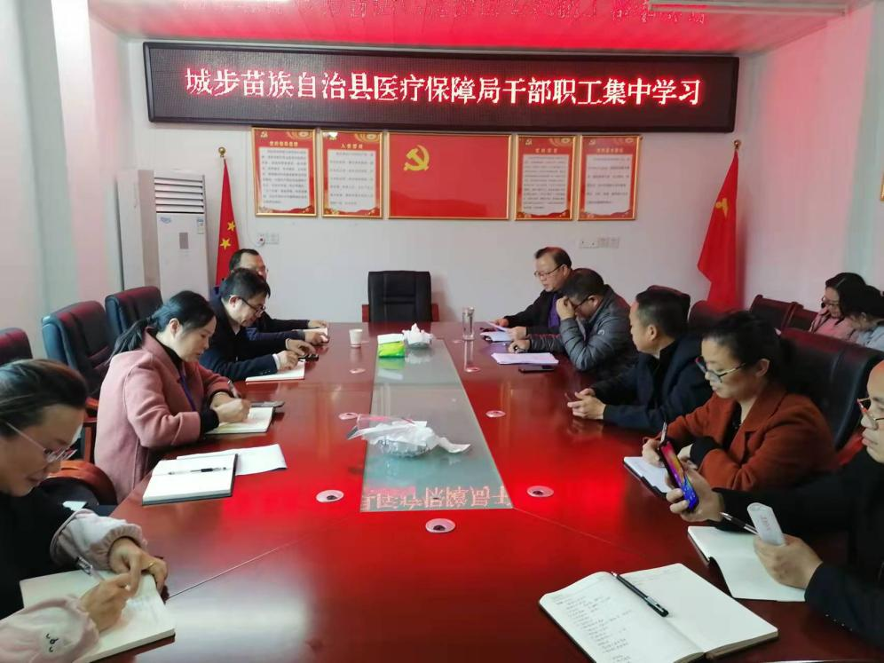城步苗族自治县医疗保障局开展集中学习促提高(图1)