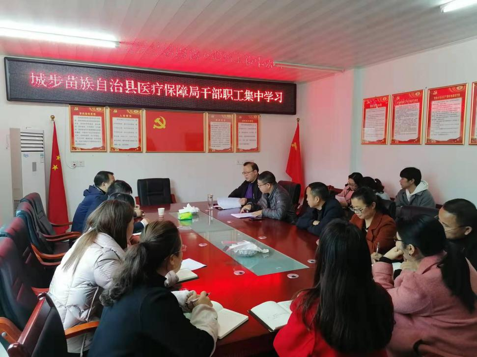 城步苗族自治县医疗保障局开展集中学习促提高(图2)