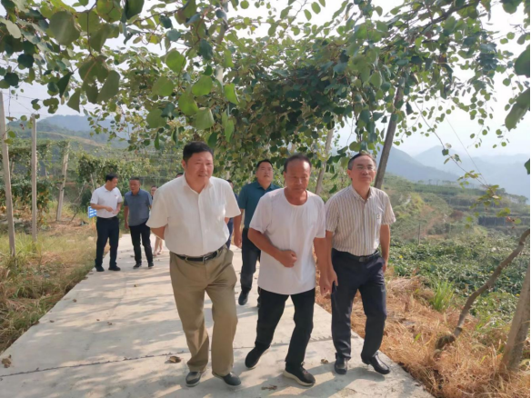 县移民中心：省移民中心主任唐要善调研城步移民工作(图2)